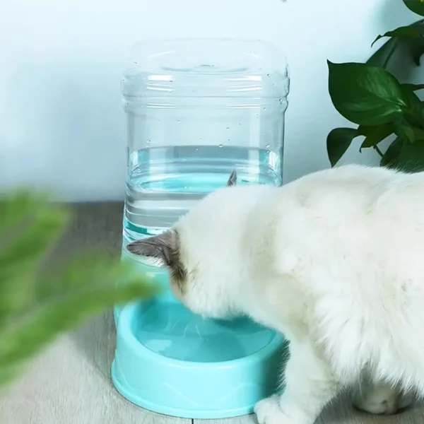 Dog & Cat Feeders: Automatic Food Dispenser, Pet Water Fountain - Image 2