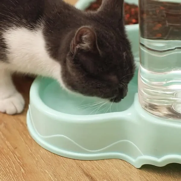 3.8L Large Capacity Dog & Cat Feeders with Water Dispenser Bowl - Image 4