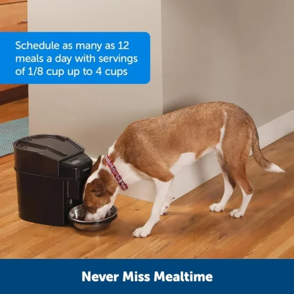 Dog & Cat Feeders: Healthy Simply Feed Automatic Feeder Knoxville - Image 2