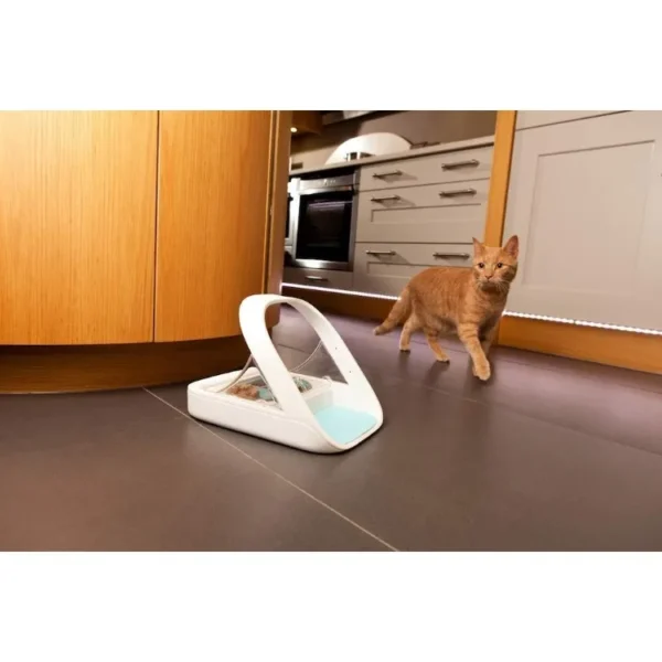 Microchip Dog & Cat Feeders: Automatic Dispenser for Wet & Dry Food - Image 4