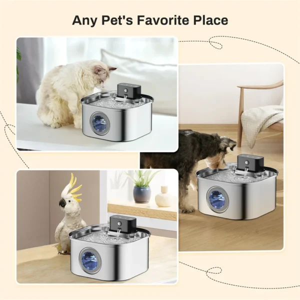 Dog & Cat Feeders: 3L Stainless Steel Water Fountain Dispenser - Image 6